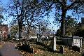 AUT12805.JPG