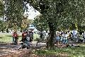 aut_8644.jpg