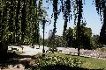 aut_6972.jpg