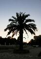 aut_7026.jpg