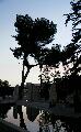 aut_7029.jpg
