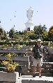 aut_7130.jpg
