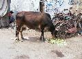 aut_2661.jpg