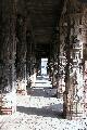 aut_2859.jpg