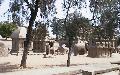 aut_2896.jpg