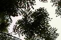 aut_2958.jpg