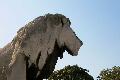 Aut11360.jpg