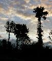 AUT12110.JPG