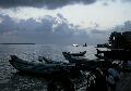 aut_5608.jpg